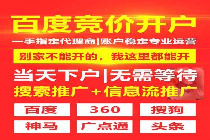 SEM专员的角色与成功案例解析